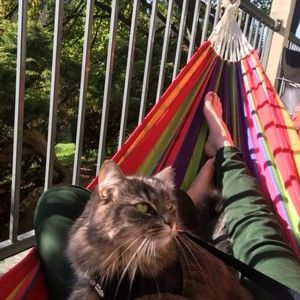 Meet your Posher, Nichole